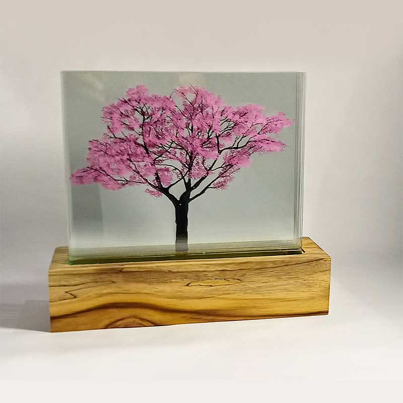 Roble Morado - Image 2